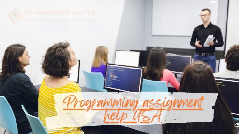 Programming assignment help USA