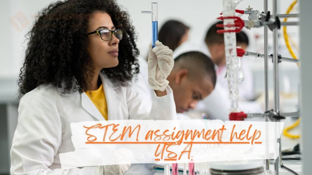 STEM assignment help USA