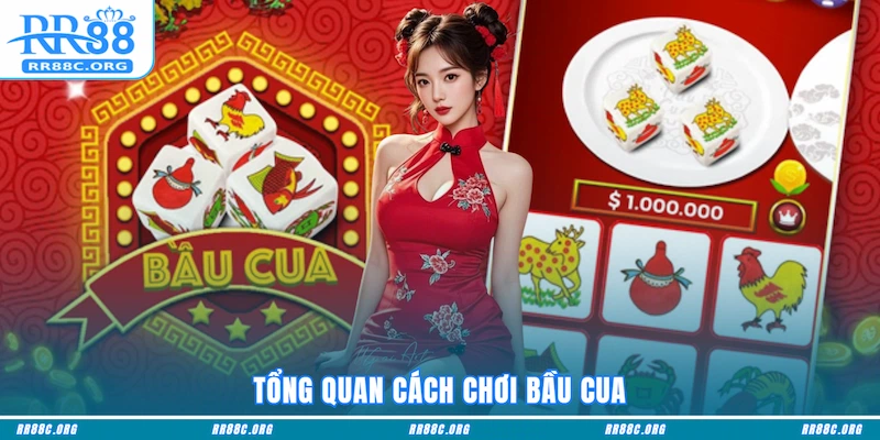 Tổng quan cách chơi Bầu Cua